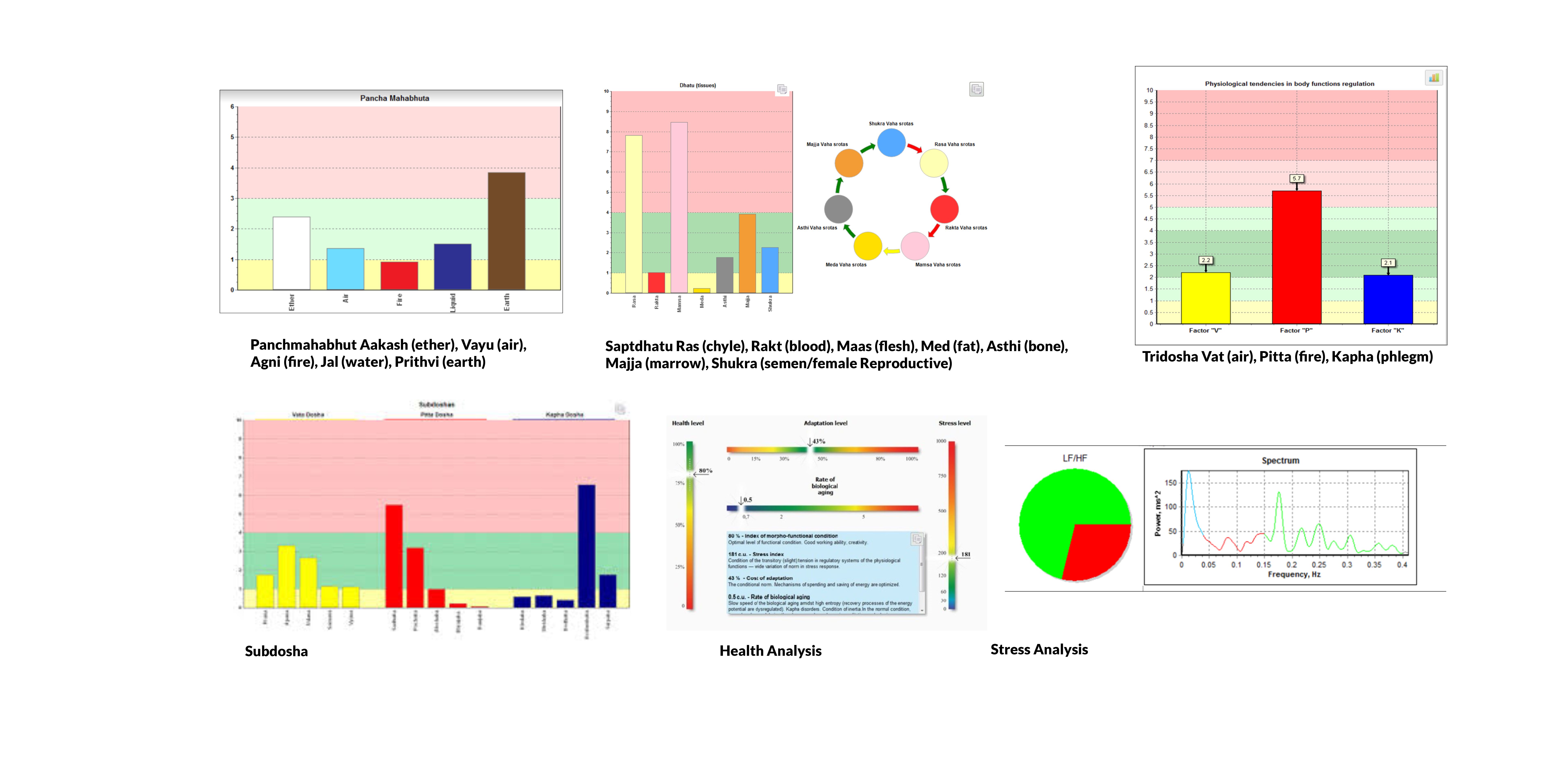 VedaPulse analysis reports